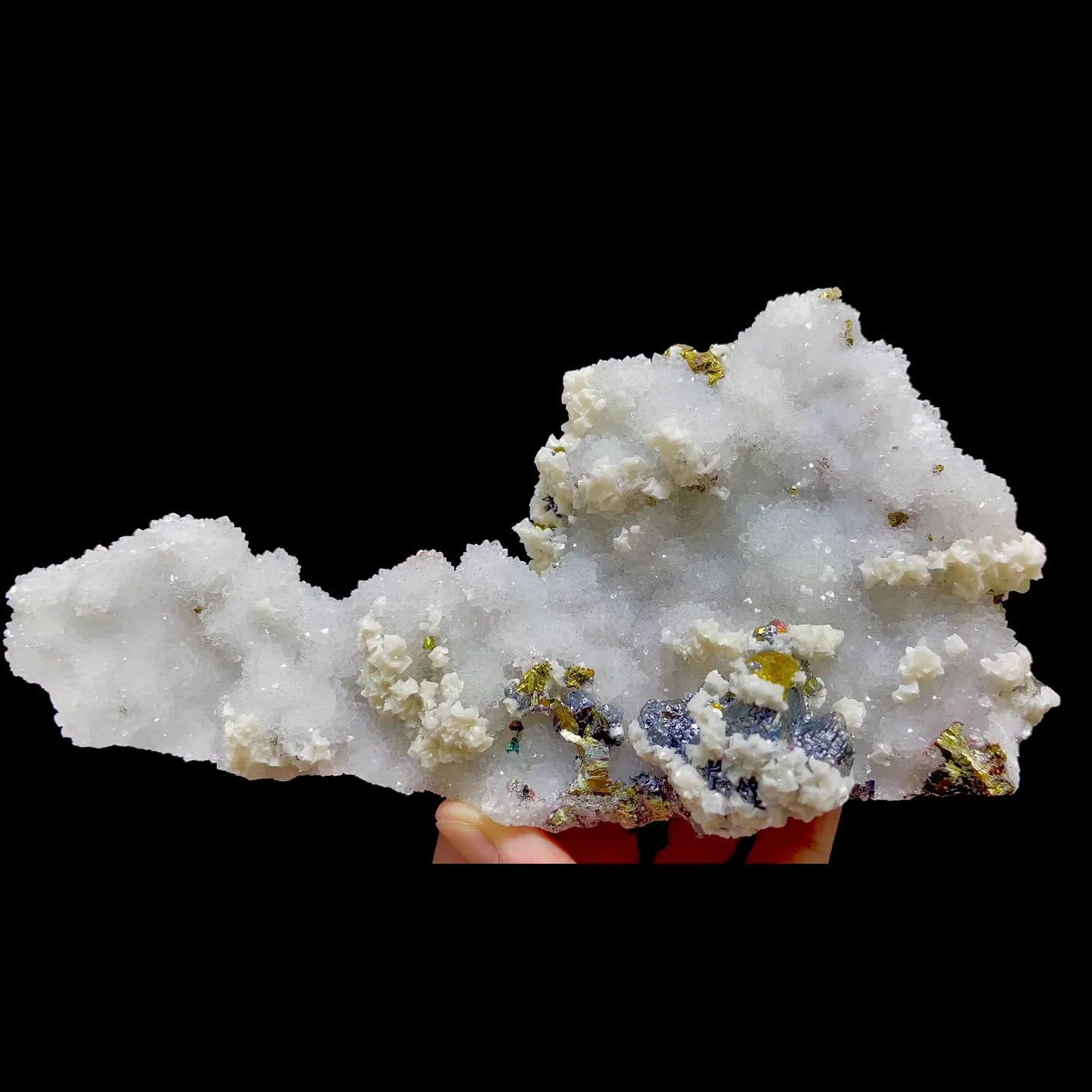 specimen video