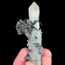 specimen video