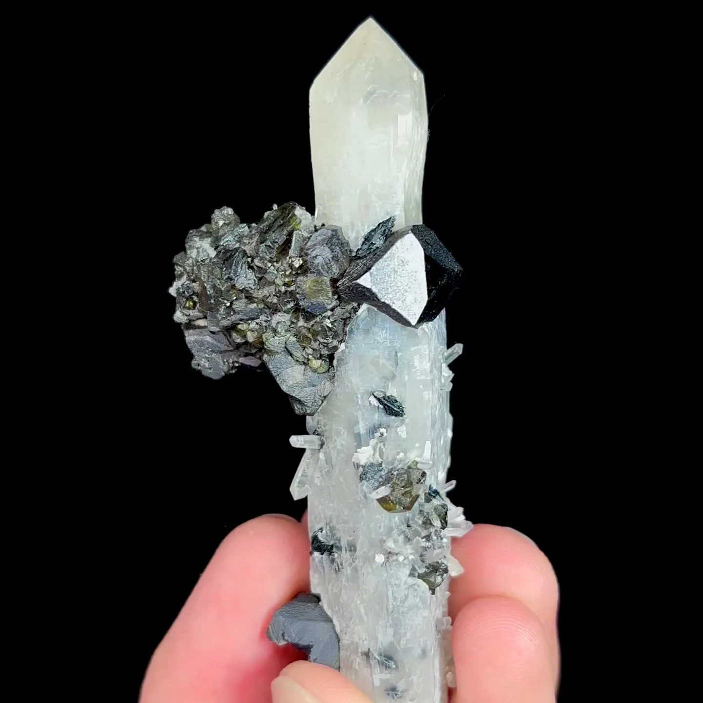 specimen video