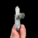 Natural Marmatite and Quartz, Mineral Specimen: Inner Mongolia,China (30*75*15MM) - image 3
