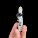 Natural Marmatite and Quartz, Mineral Specimen: Inner Mongolia,China (30*75*15MM) - image 2