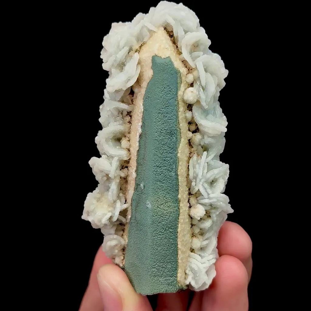 specimen video