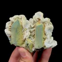 specimen video