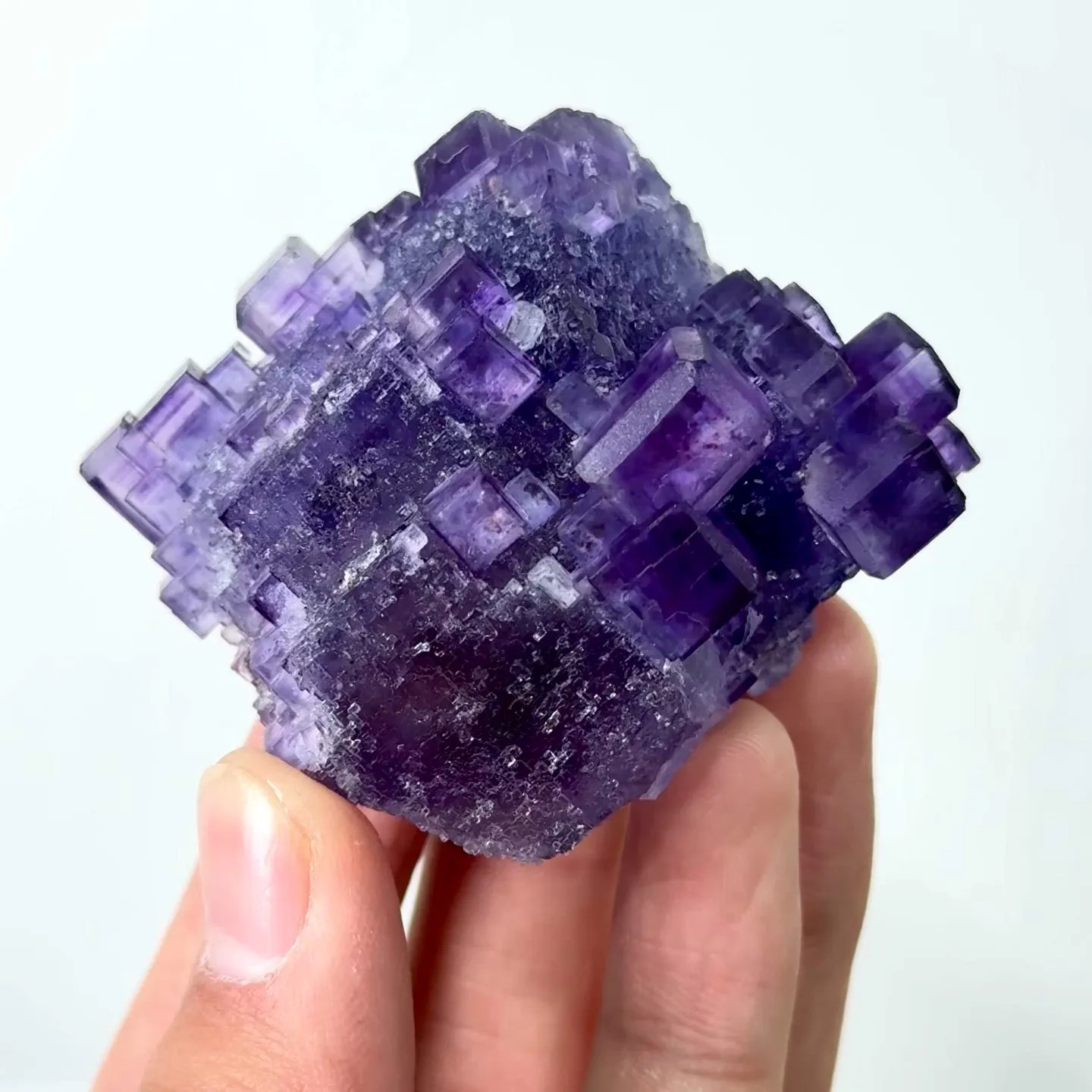 specimen video