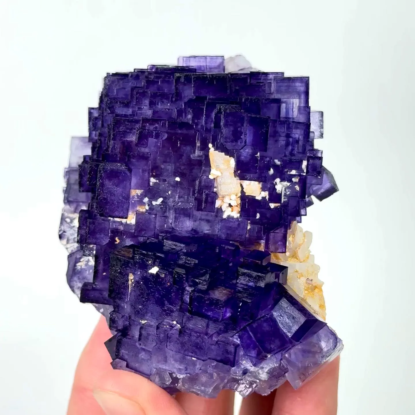 specimen video