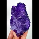specimen video