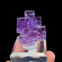 specimen video
