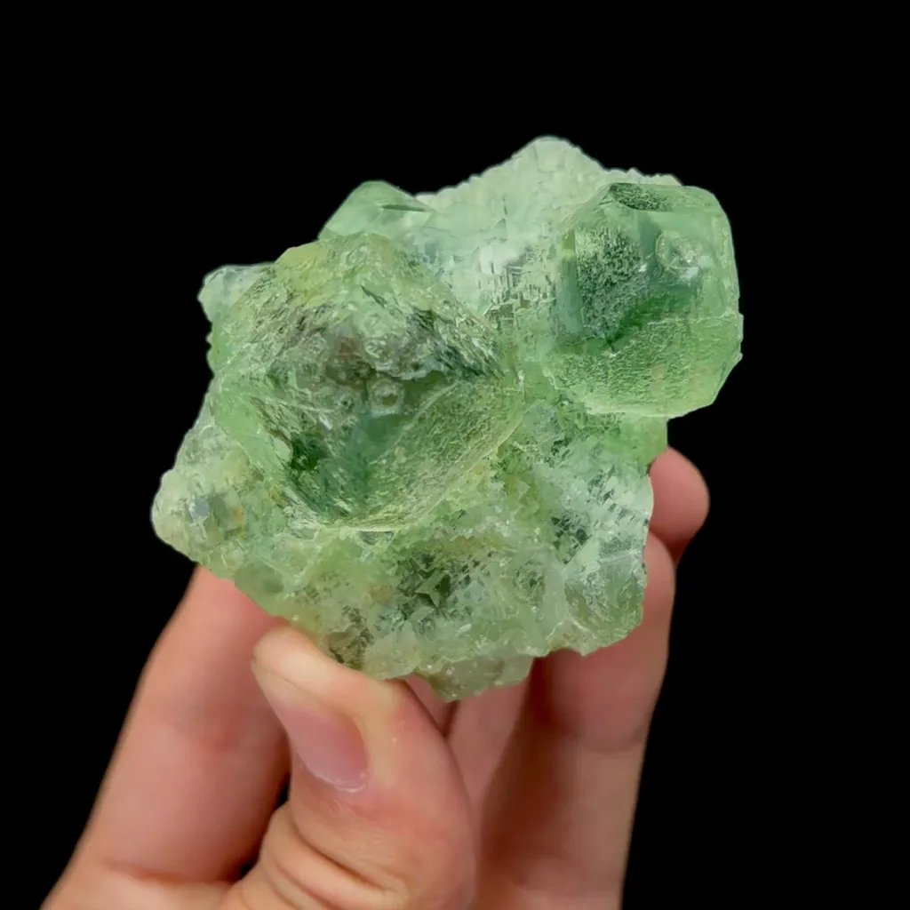 specimen video