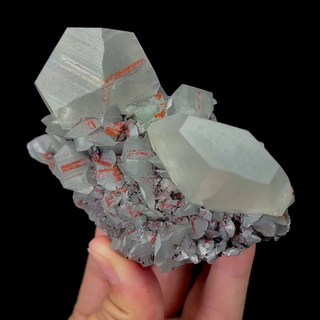 specimen video