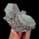 specimen video