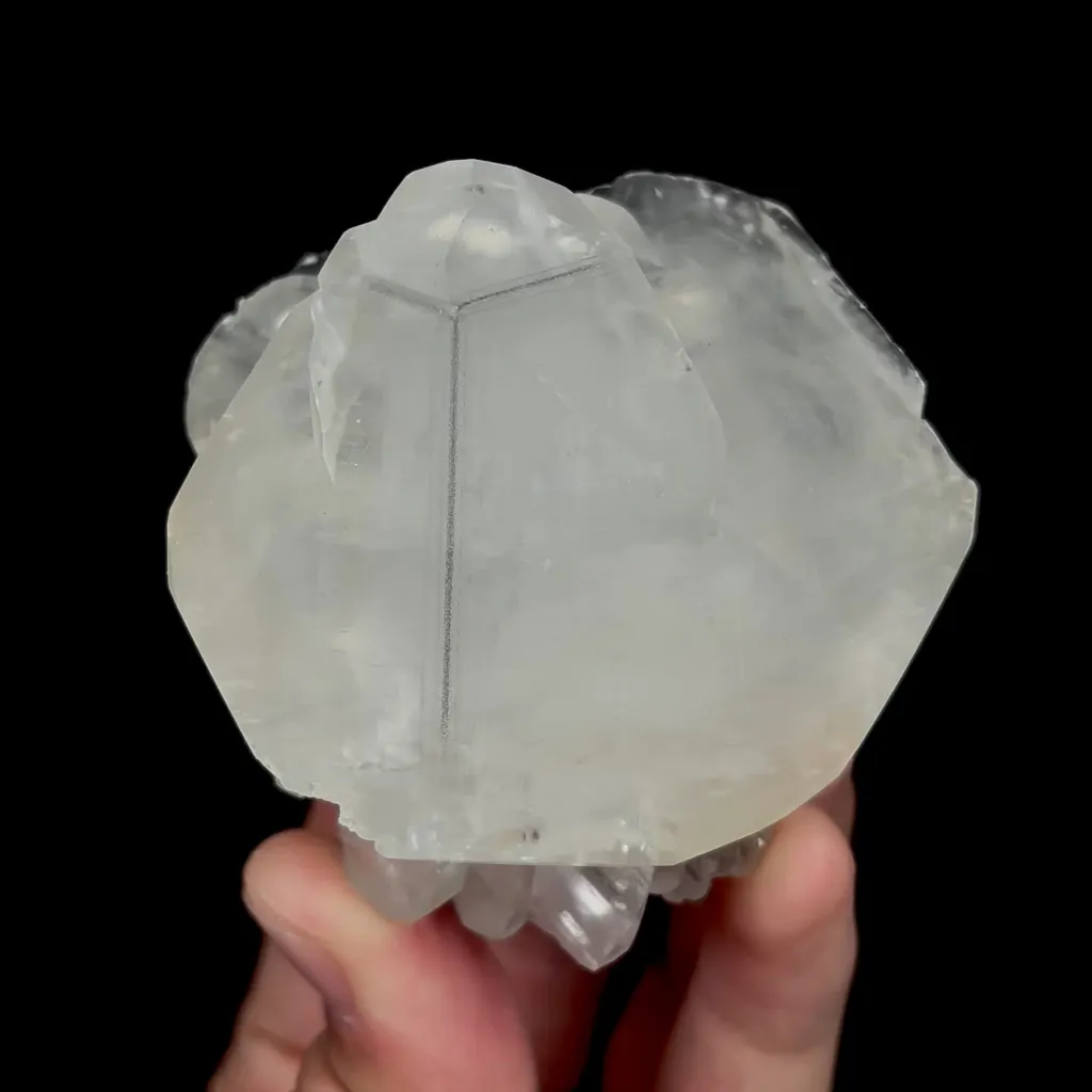 specimen video