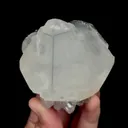 specimen video