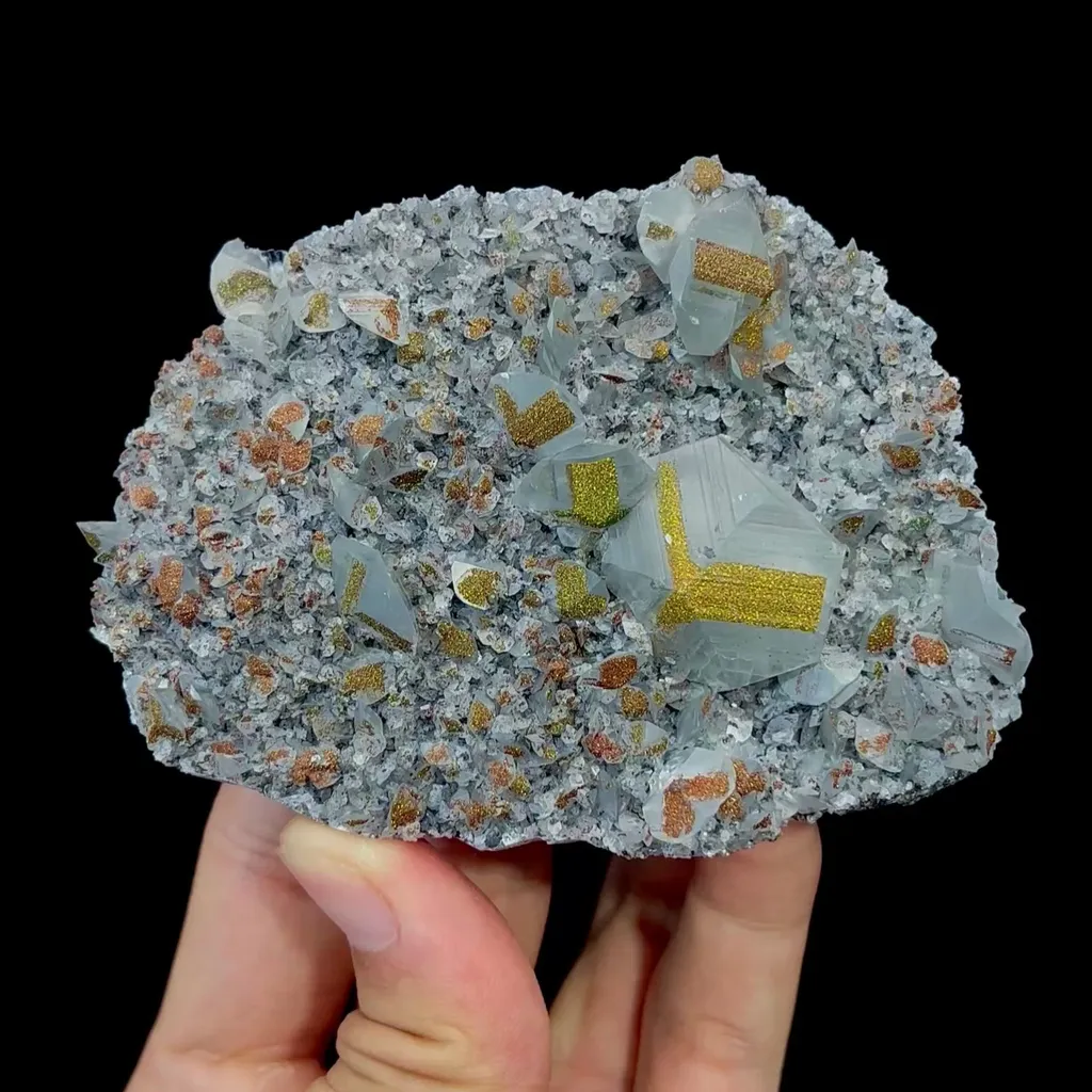 specimen video