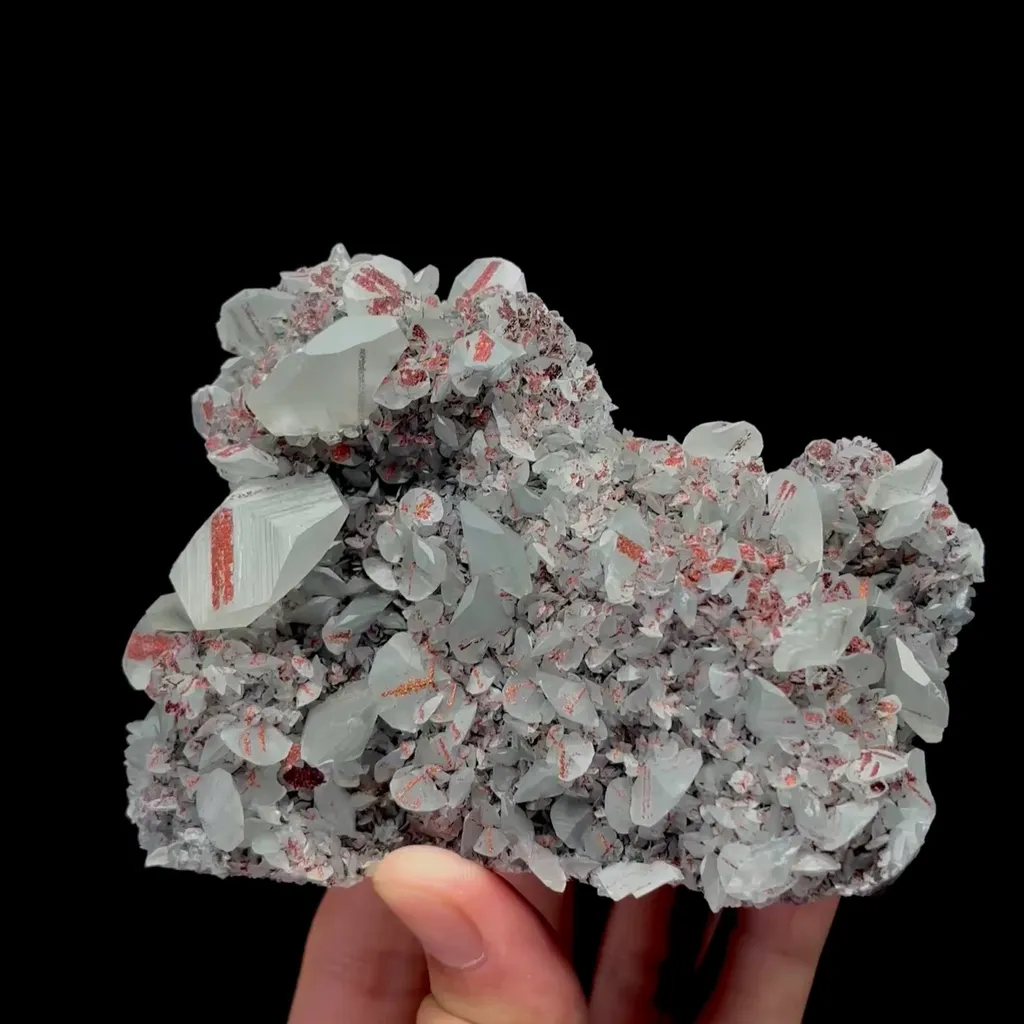 specimen video
