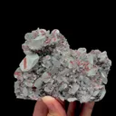 specimen video