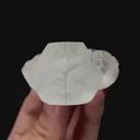 specimen video