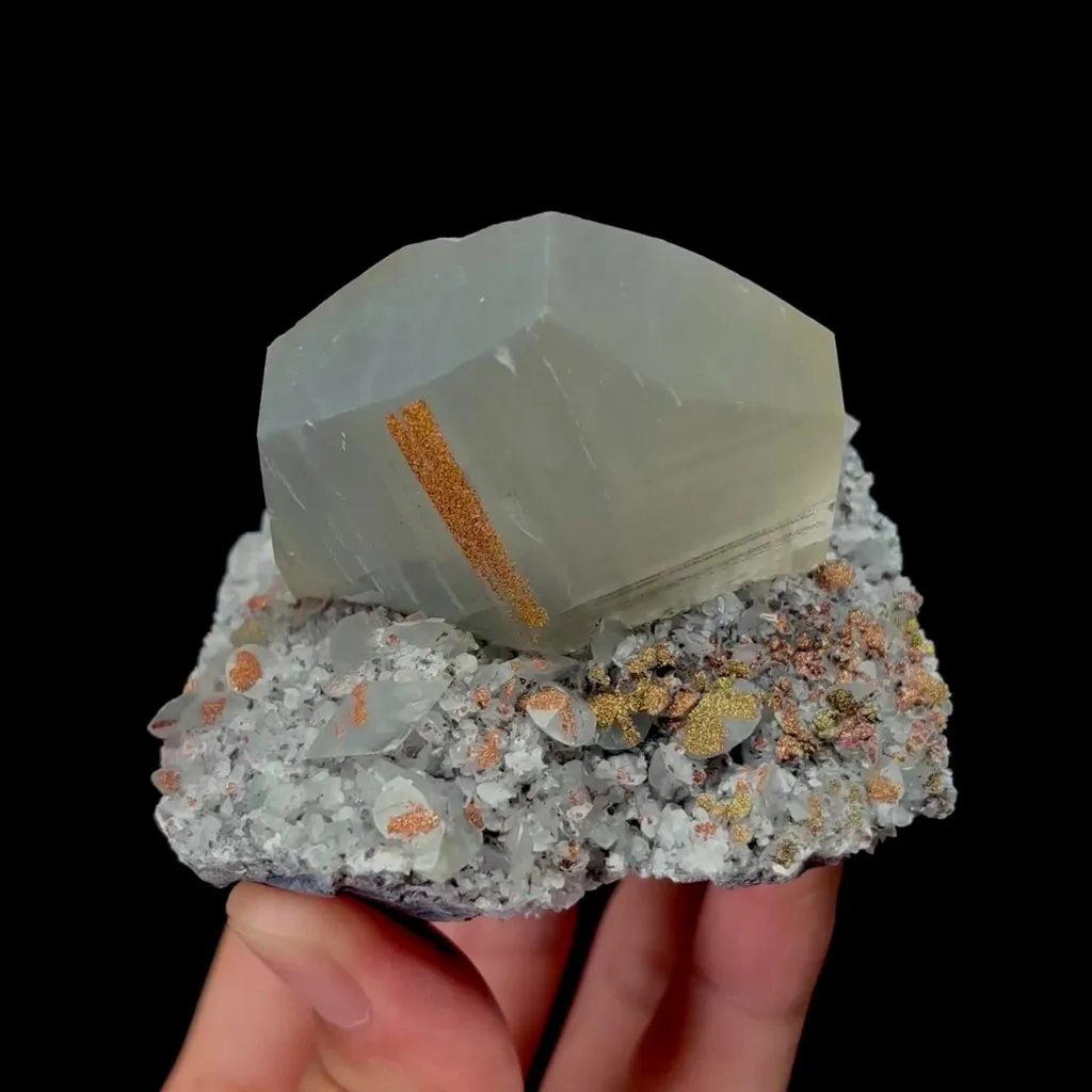 specimen video