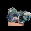 specimen video