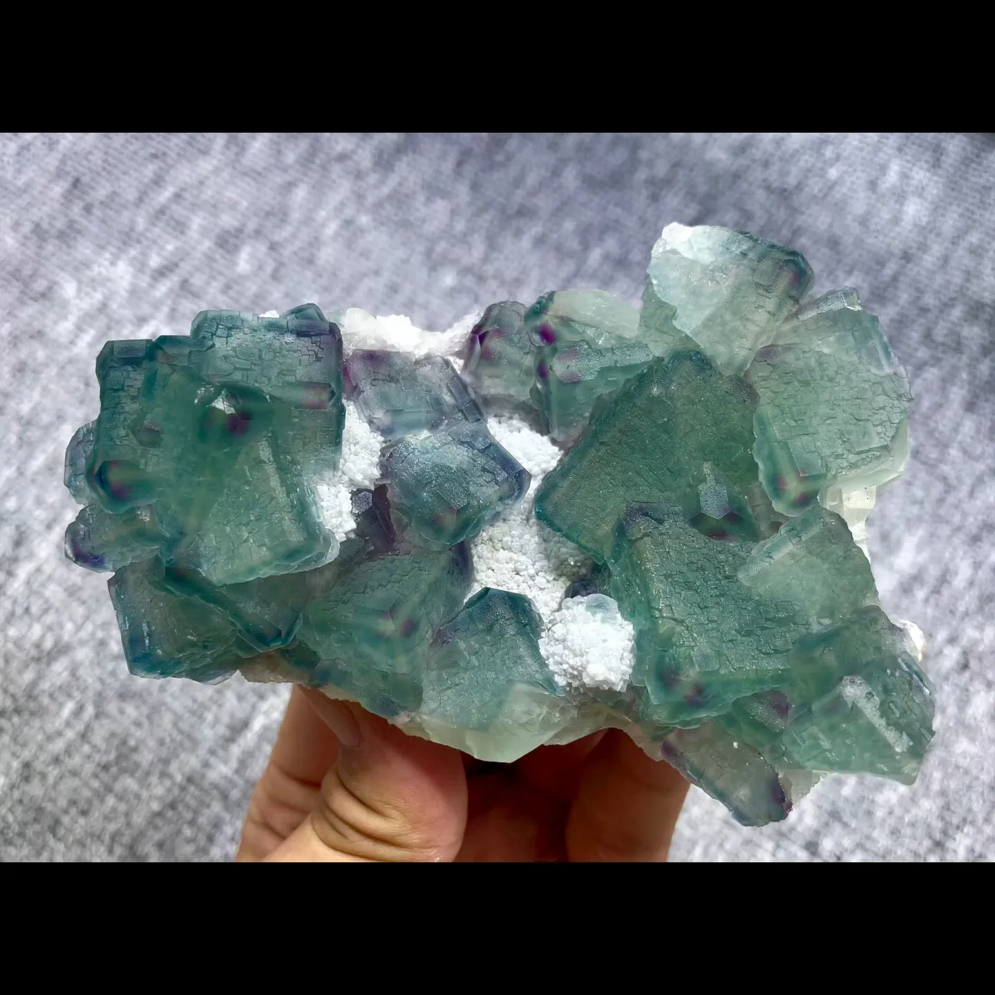 specimen video