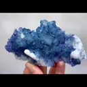 specimen video