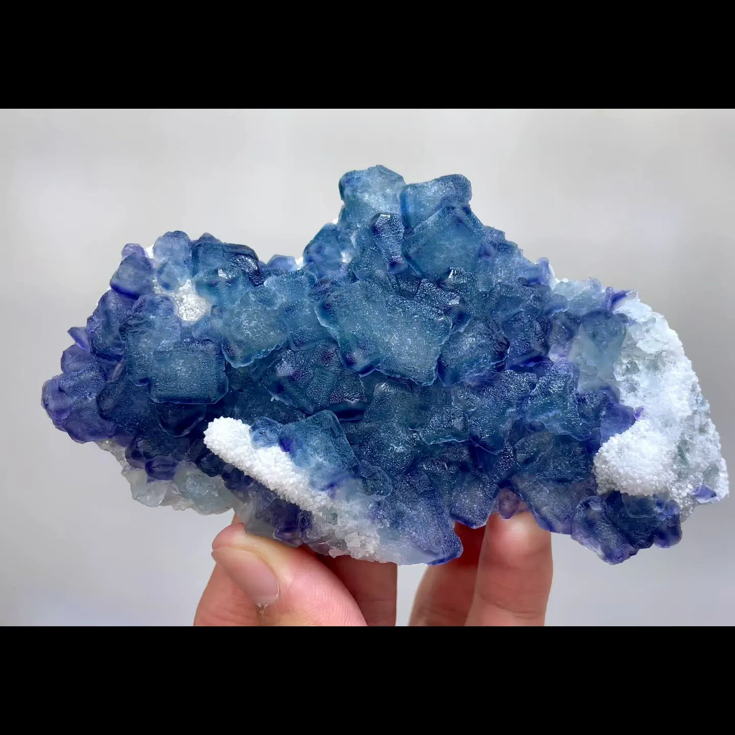 specimen video