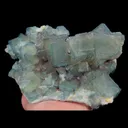 specimen video