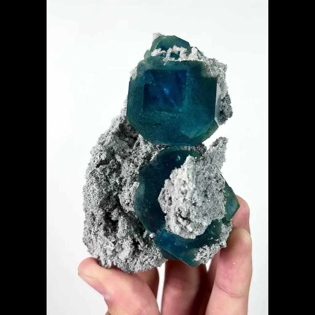 specimen video