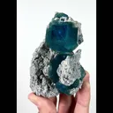 specimen video