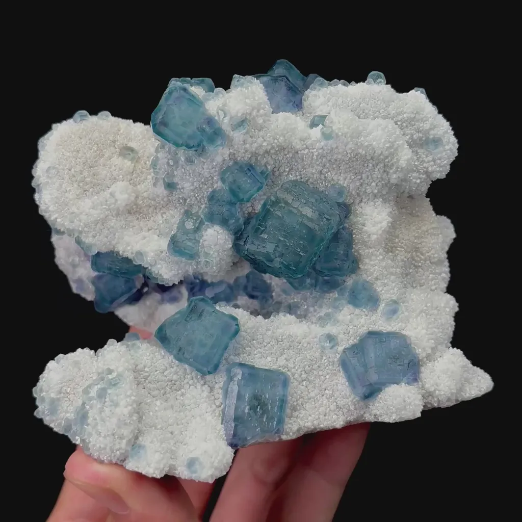 specimen video
