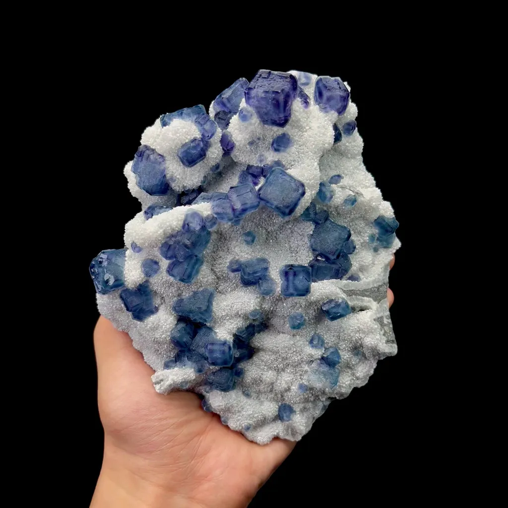 specimen video