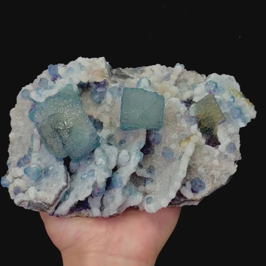 specimen video