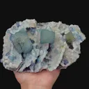 specimen video