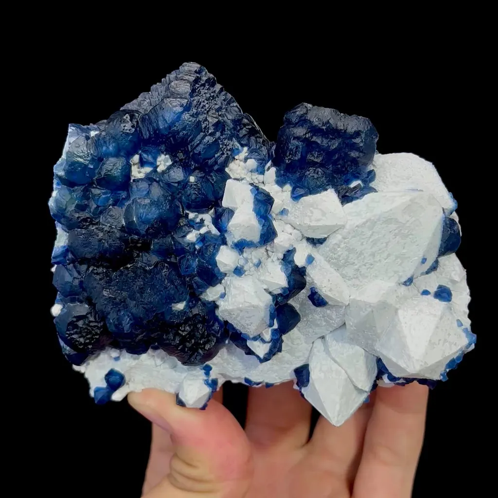 specimen video
