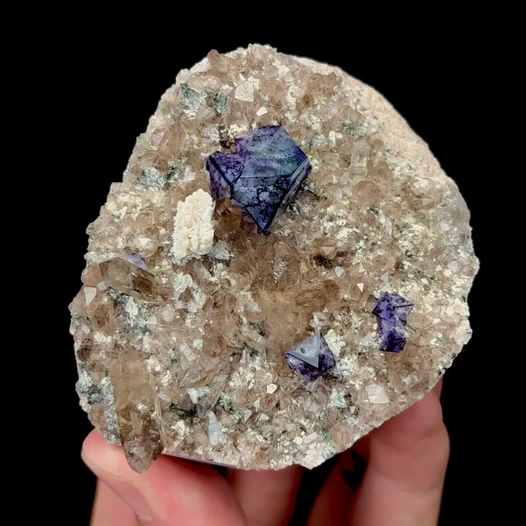 specimen video