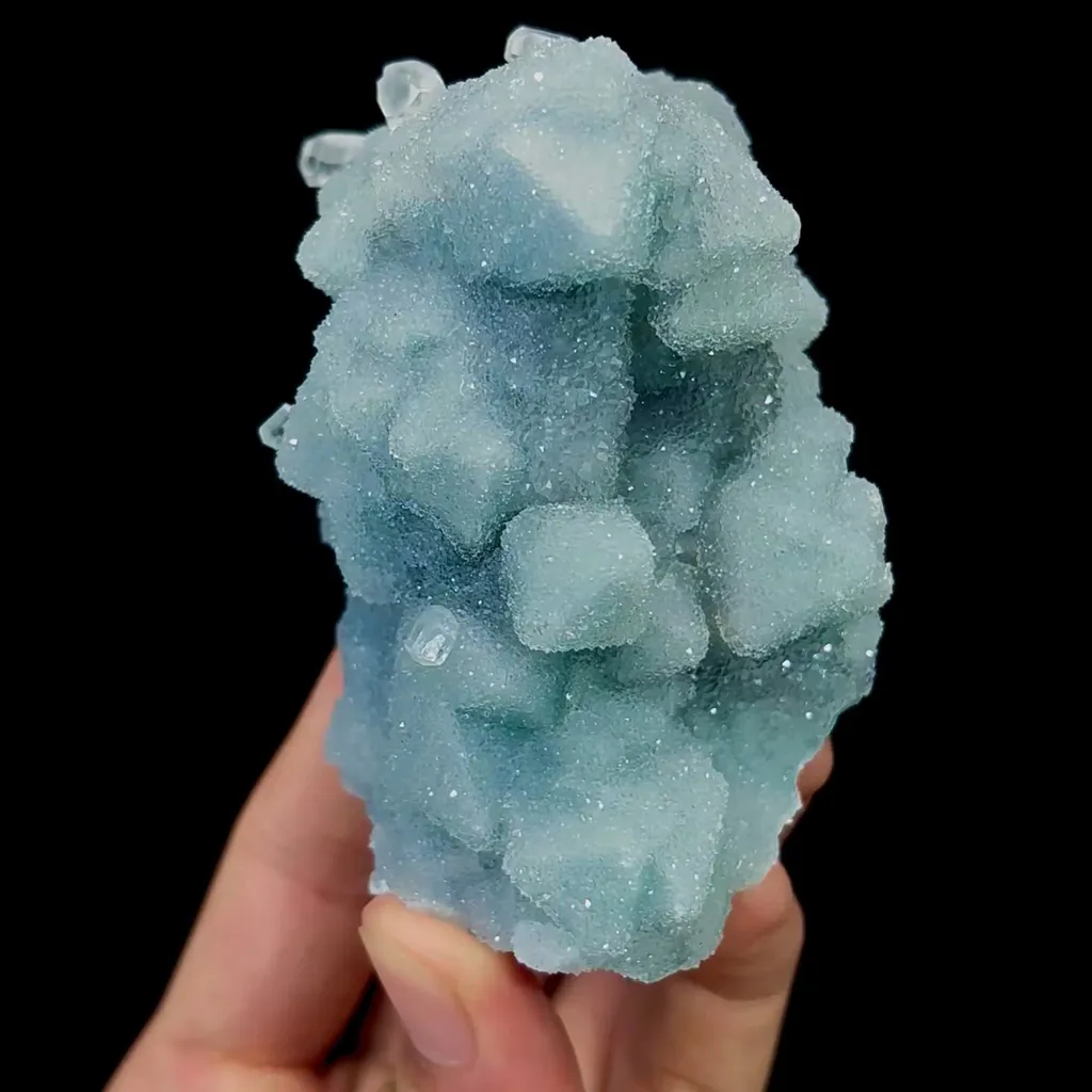 specimen video