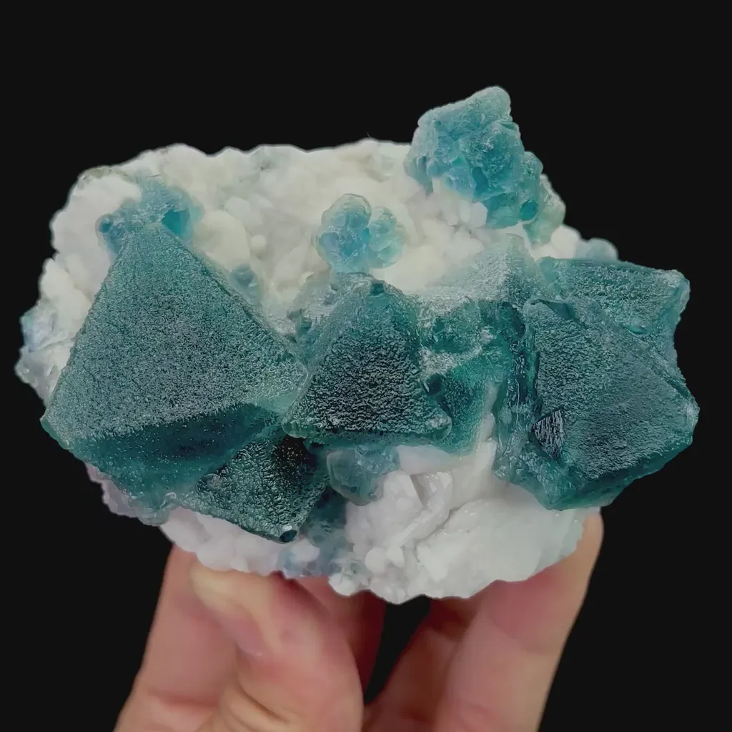 specimen video
