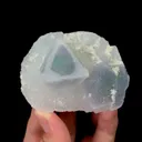 specimen video