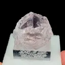 specimen video