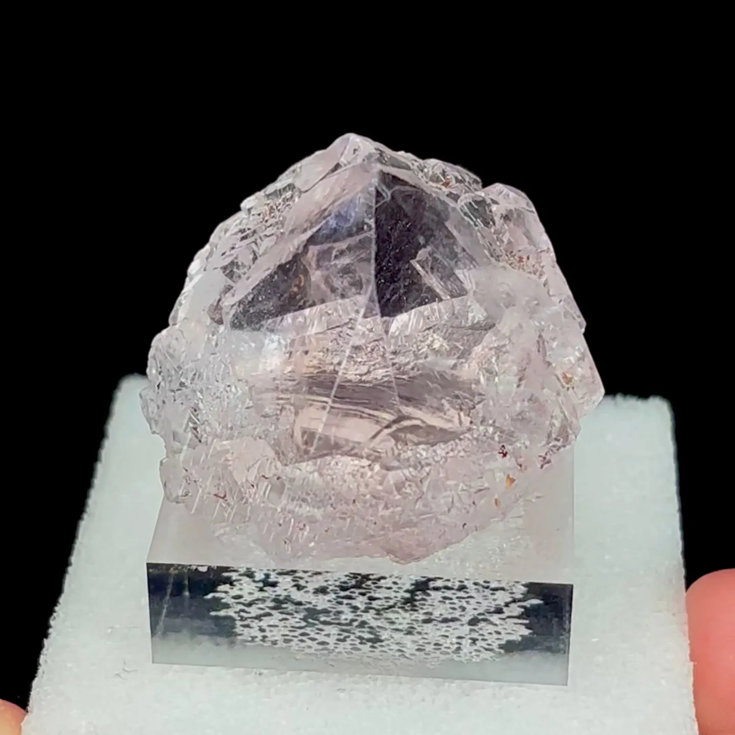 specimen video