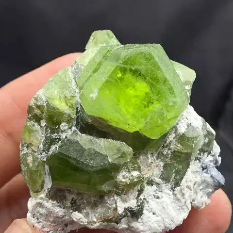 specimen video