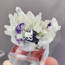 Natural Phantom Fluorite and Crystal Clusters coexist with Wolframite comes from Yaogangxian,China 45*25*20MM - image 4