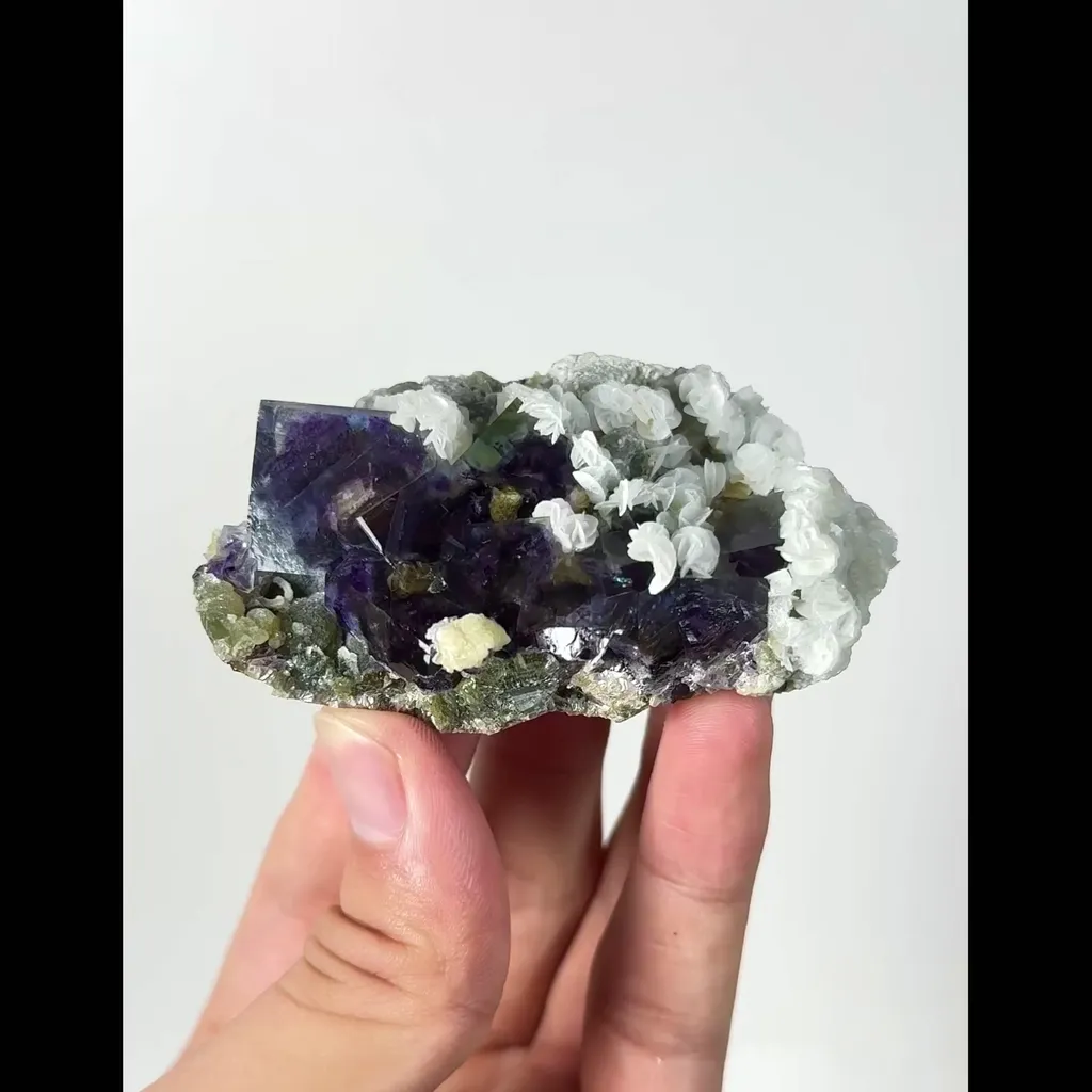 specimen video