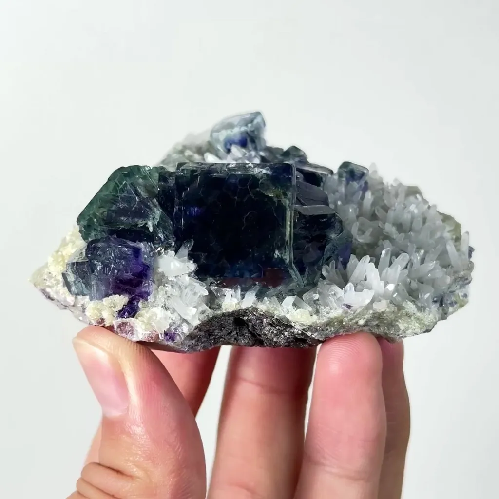 specimen video