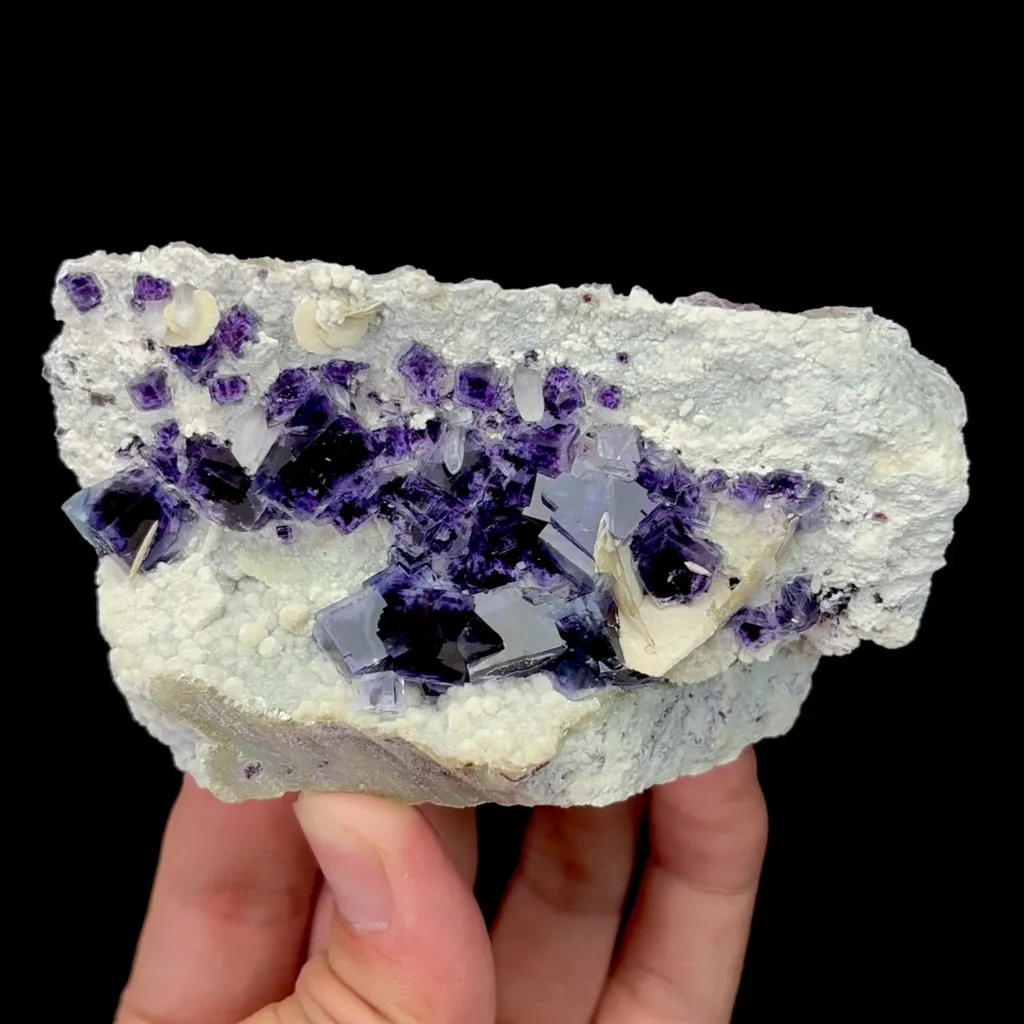 specimen video