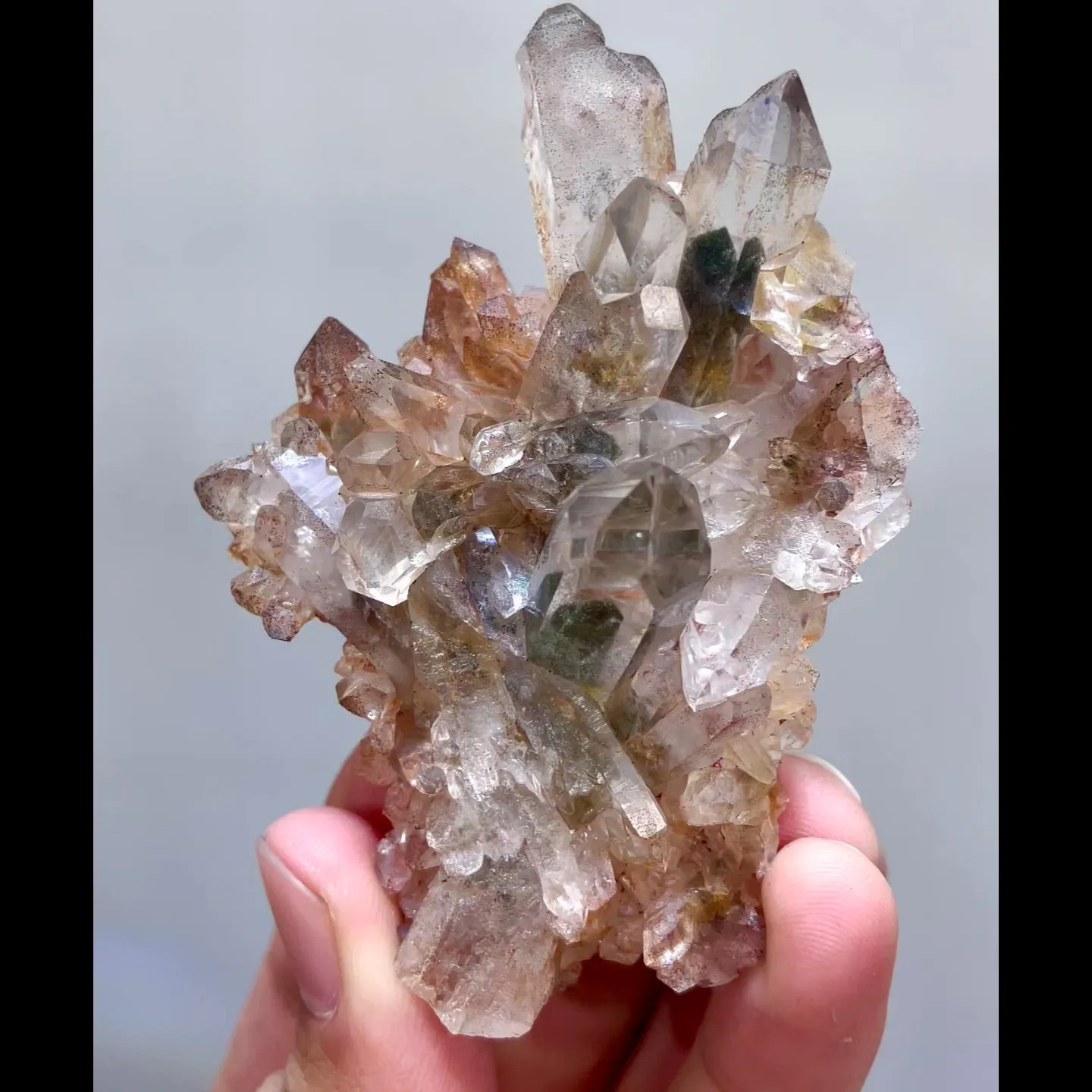 specimen video