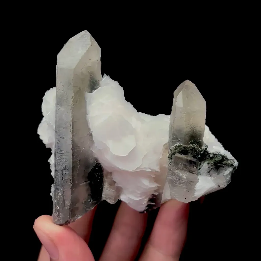 specimen video