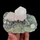 specimen video