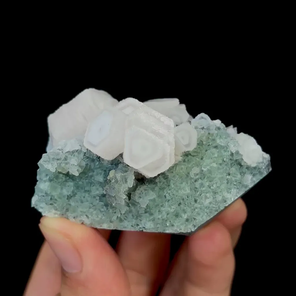 specimen video