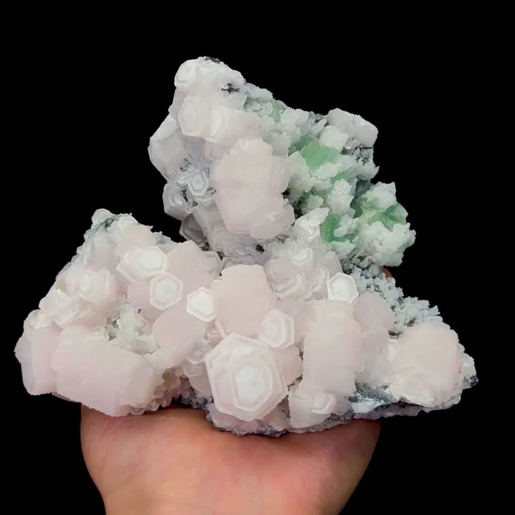 specimen video