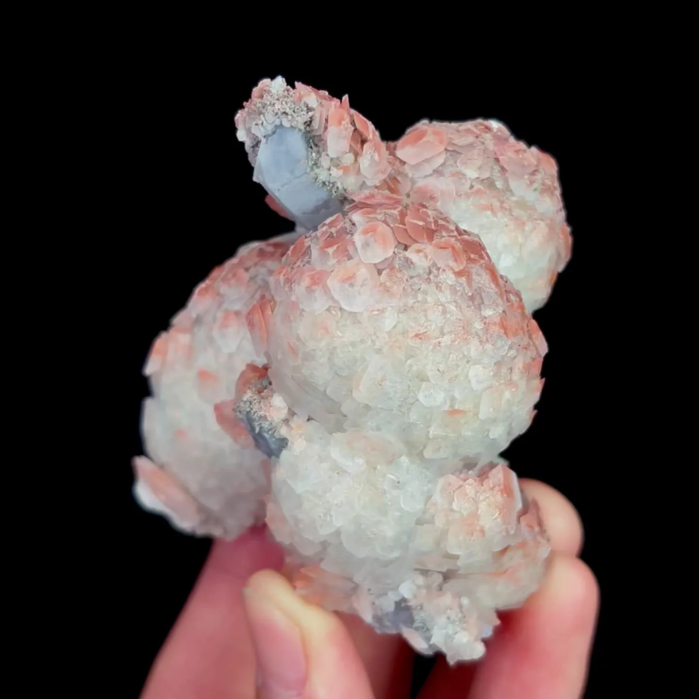 specimen video